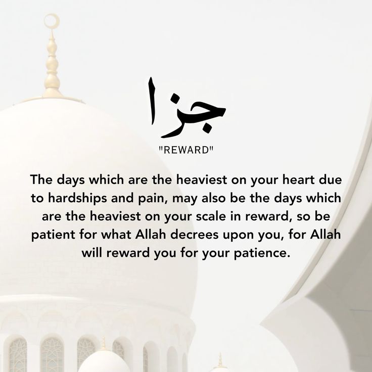 Allah’s Promise to the Patient – Quranic Verses