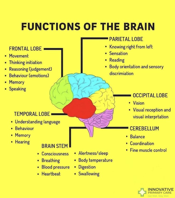 Scientific facts in Quran The frontal Lobe 