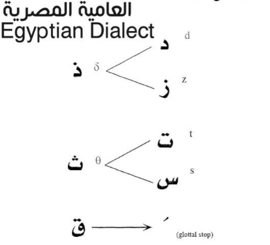 Learn Arabic Egyptian Dialect by Mastering the Most Common Verbs and Sentence Patterns
