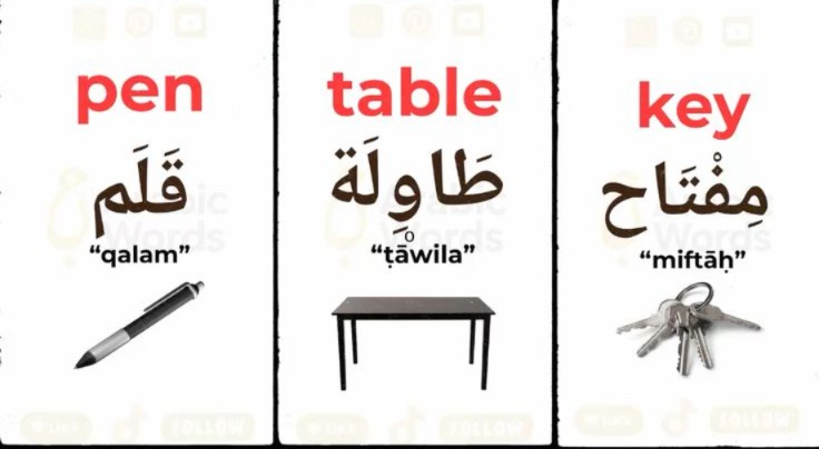 Arabic Harakat With Examples