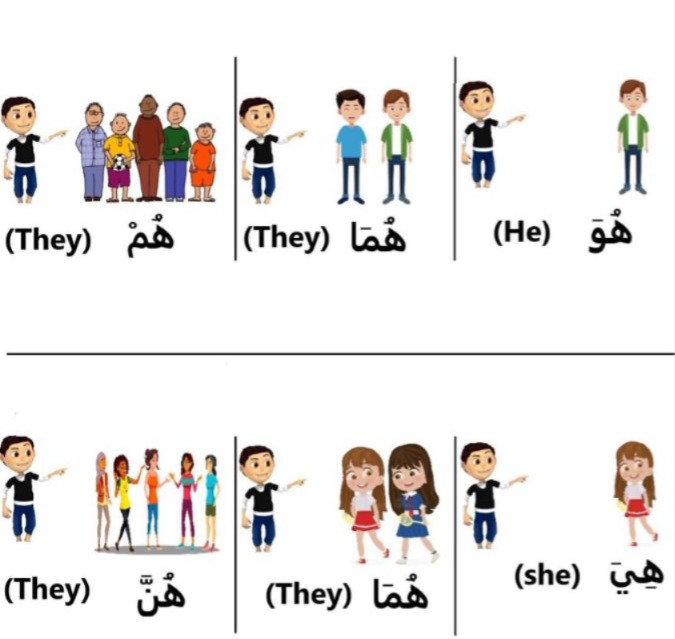 What Are Arabic Pronouns?