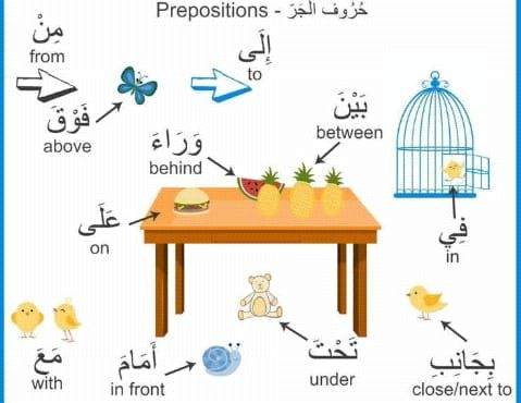 The most common Arabic prepositions and their meanings