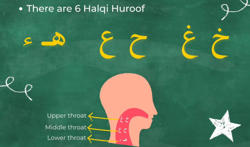 Izhar Letters in Tajweed