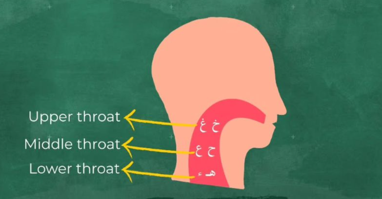 Common Challenges in Teaching Tajweed in English to Kids