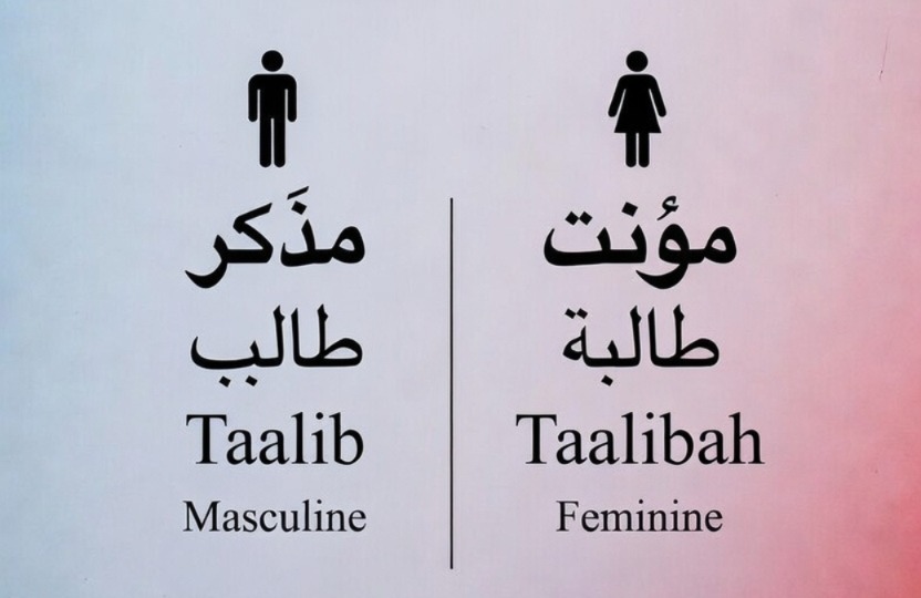 What Are Masculine and Feminine in Arabic?