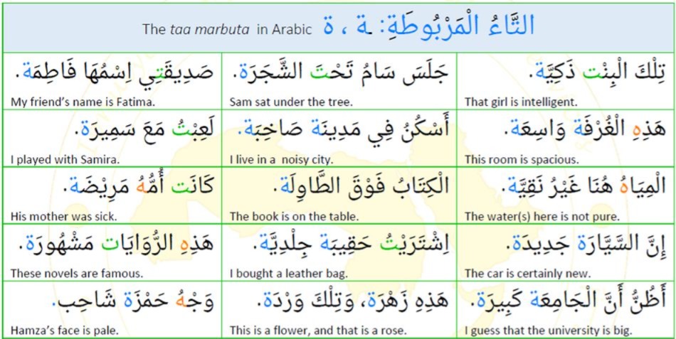 The Basic Rule of Masculine and Feminine in Arabic