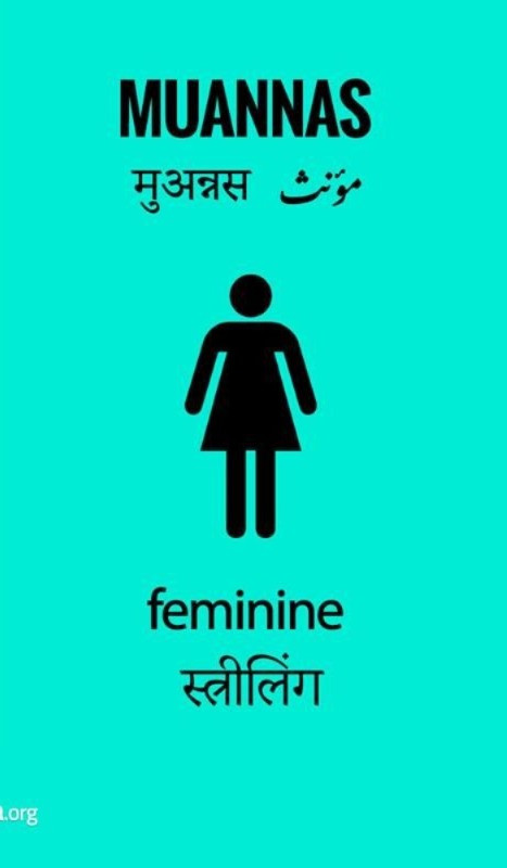 Examples of Masculine and Feminine in Arabic