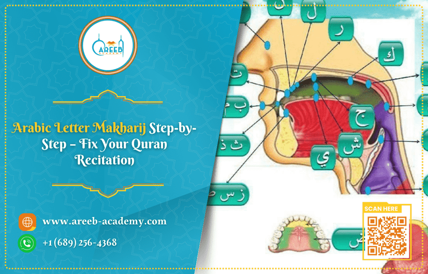 Arabic Letter Makharij Step-by-Step – Fix Your Quran Recitation