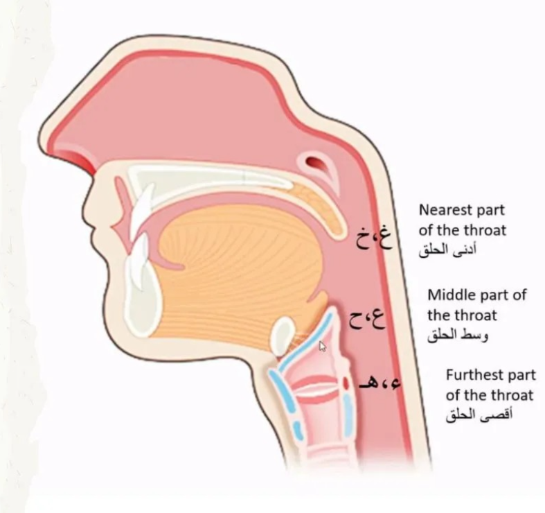Pronunciation Tips Arabic Halqi Makharij Letter