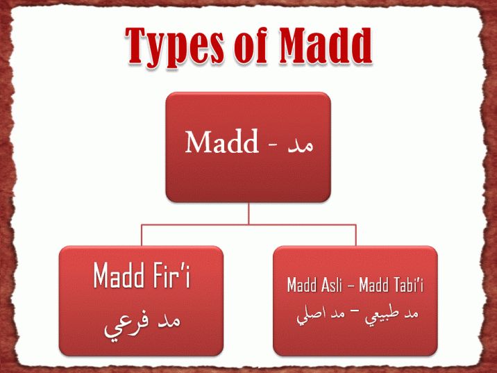Types of Madd in Tajweed (Main Categories)