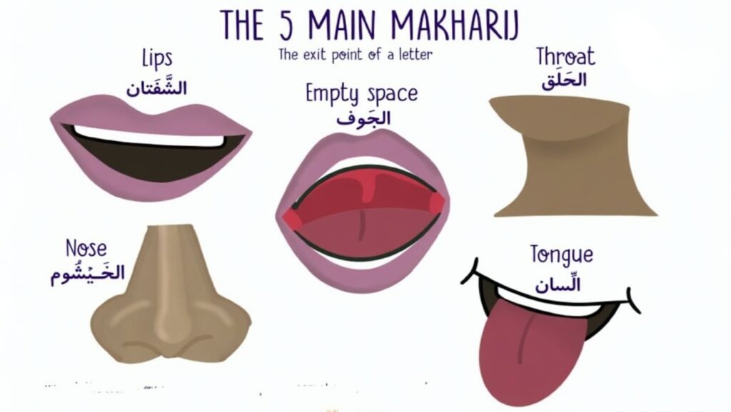 What Are Arabic Letter Makharij?
