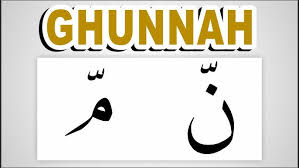 What Are Ghunnah Letters Rules in Tajweed?